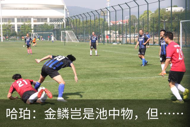哈珀：金鳞岂是池中物，但……